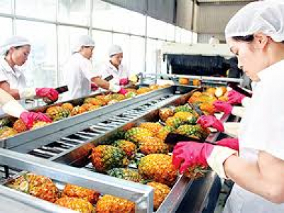 Đưa Việt Nam vào top 10 nước hàng đầu về chế biến nông sản: Cần “cú đấm thép” nào?