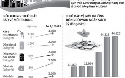 Liệu thuế có chồng thuế?