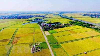 Phát triển bất động sản nông nghiệp nhìn từ thế giới