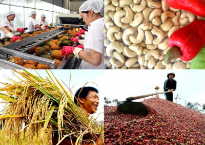 Mỹ là thị trường xuất khẩu nông sản lớn nhất của Việt Nam