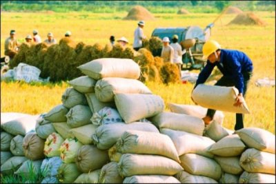 [Infographics] Mục tiêu xuất khẩu gạo năm 2020 đạt hơn 6 triệu tấn