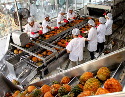 Nông sản Việt tăng xuất khẩu sang Nhật