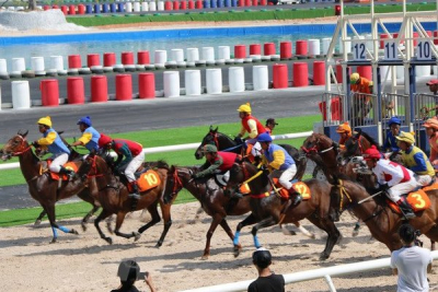 Vì sao Đà Nẵng muốn xây trường đua ngựa 200 triệu USD?
